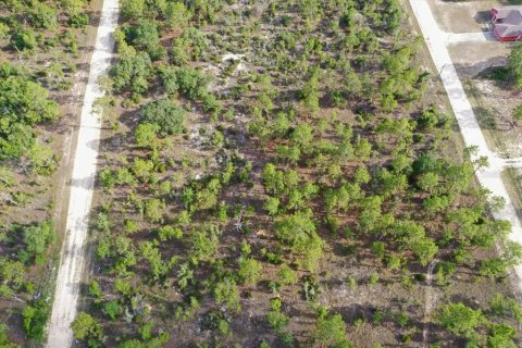 Terrain à vendre à Williston, Floride № 2208913 - photo 2