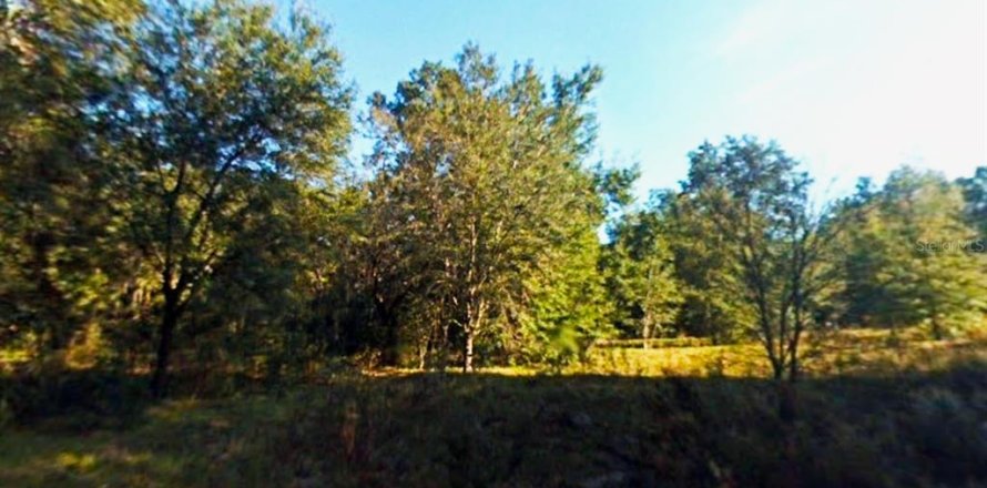 Land in Ocala, Florida № 2222525