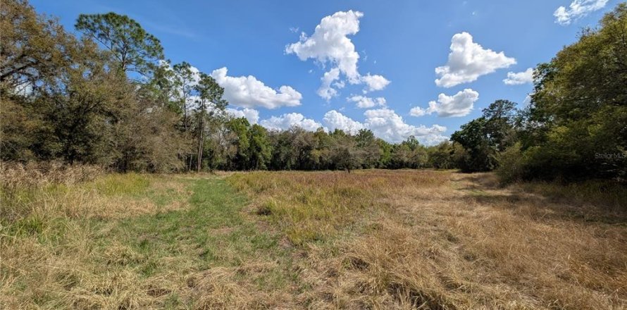 Terrain à Zolfo Springs, Floride № 2206798