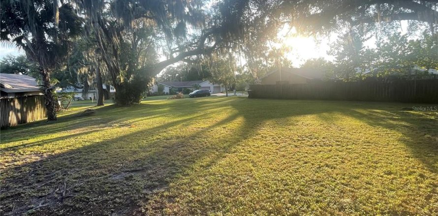 Land in Lakeland, Florida № 1724415