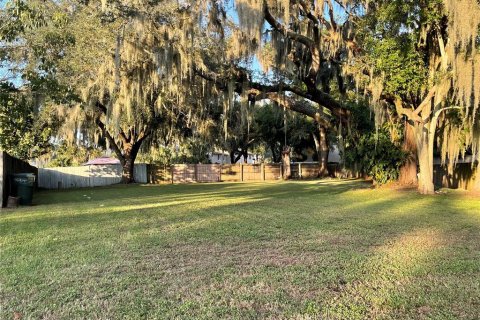 Land in Lakeland, Florida № 1724415 - photo 3