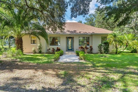 Villa ou maison à vendre à Yalaha, Floride: 3 chambres, 184.32 m2 № 1909043 - photo 1