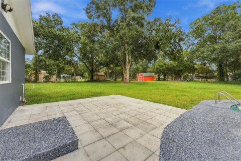 Villa ou maison à vendre à Lutz, Floride: 4 chambres, 232.35 m2 № 2403553 - photo 28