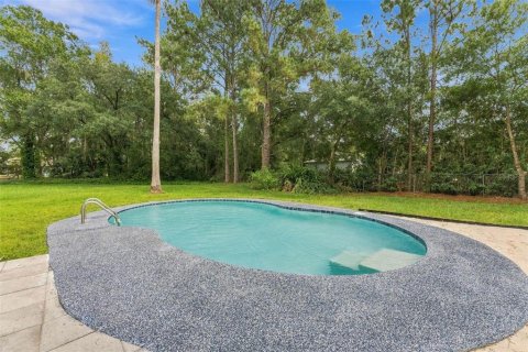 Villa ou maison à vendre à Lutz, Floride: 4 chambres, 232.35 m2 № 2403553 - photo 30