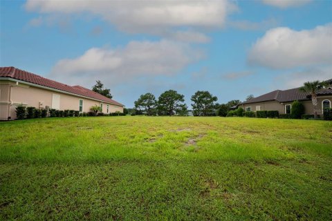 Land in Palm Coast, Florida № 2383721 - photo 4