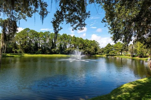 Land in Palm Coast, Florida № 2383721 - photo 12