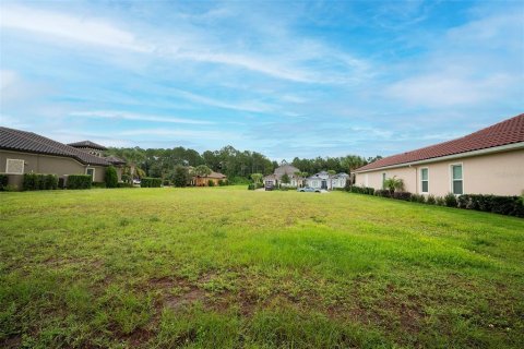 Land in Palm Coast, Florida № 2383721 - photo 3