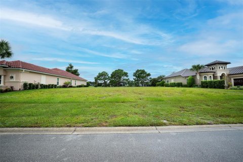 Land in Palm Coast, Florida № 2383721 - photo 2