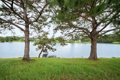Land in Palm Coast, Florida № 2383721 - photo 13