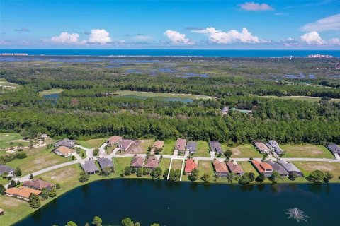 Land in Palm Coast, Florida № 2383721 - photo 20