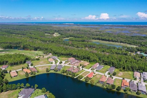 Land in Palm Coast, Florida № 2383721 - photo 19