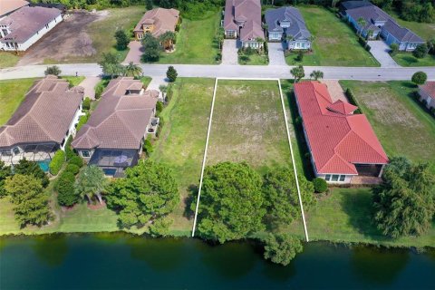 Land in Palm Coast, Florida № 2383721 - photo 9