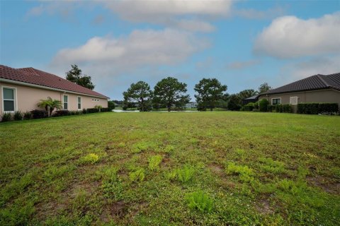 Land in Palm Coast, Florida № 2383721 - photo 14