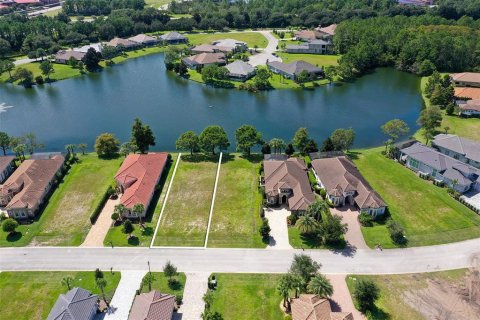 Land in Palm Coast, Florida № 2383721 - photo 5