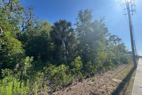 Land in Hudson, Florida № 2122875 - photo 4
