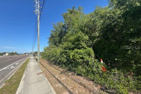 Land in Hudson, Florida № 2122875 - photo 5
