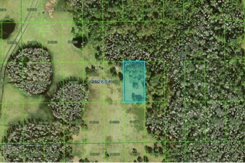 Land in Polk City, Florida № 2163760