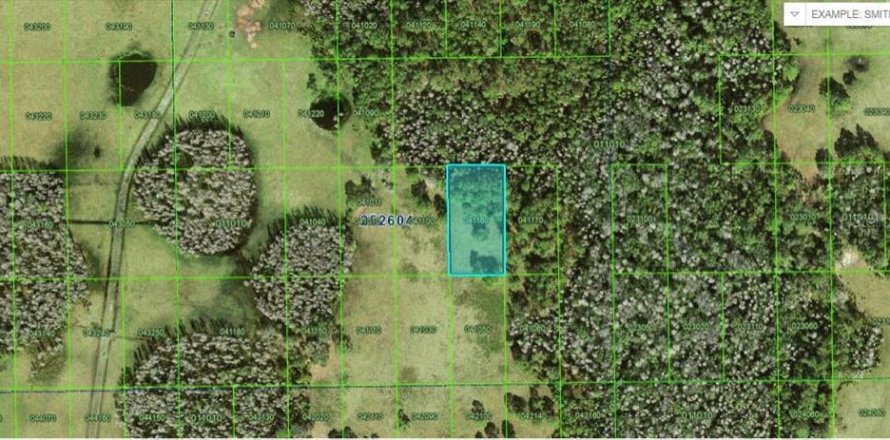 Land in Polk City, Florida № 2163760