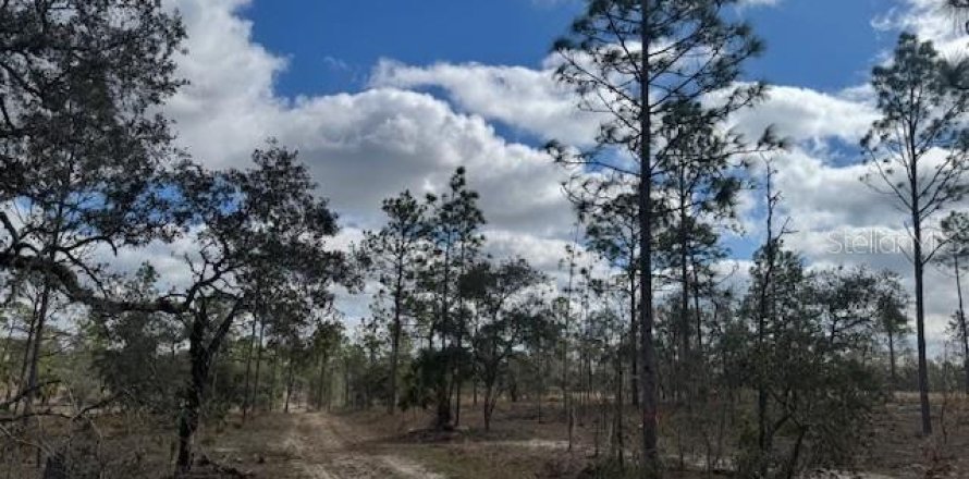 Terrain à Morriston, Floride № 1521260