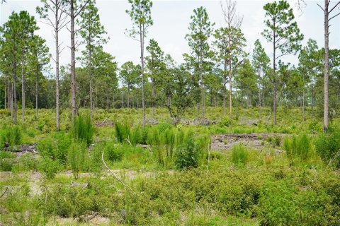 Terreno en venta en Morriston, Florida № 1521260 - foto 11