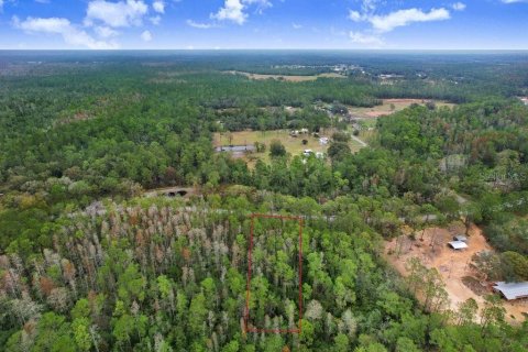 Land in Polk City, Florida № 1511959 - photo 7