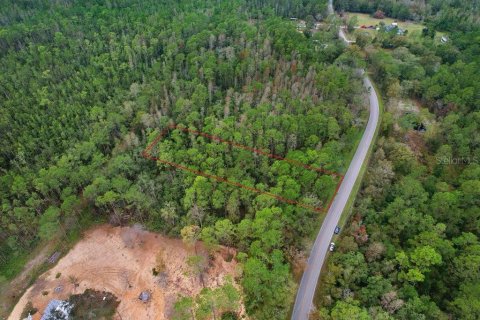 Land in Polk City, Florida № 1511959 - photo 4