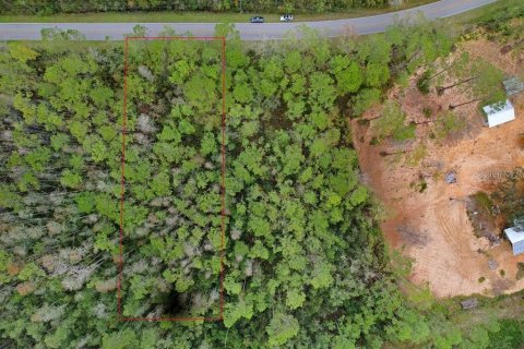 Land in Polk City, Florida № 1511959 - photo 2