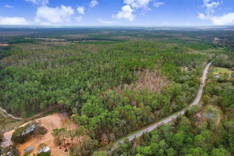 Land in Polk City, Florida № 1511959 - photo 9