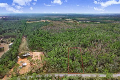 Land in Polk City, Florida № 1511959 - photo 10