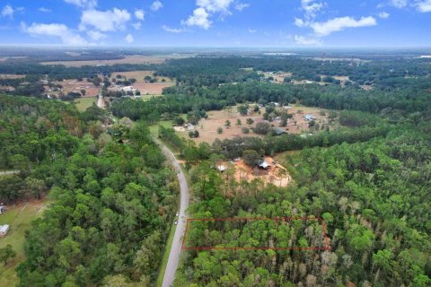 Land in Polk City, Florida № 1511959 - photo 8