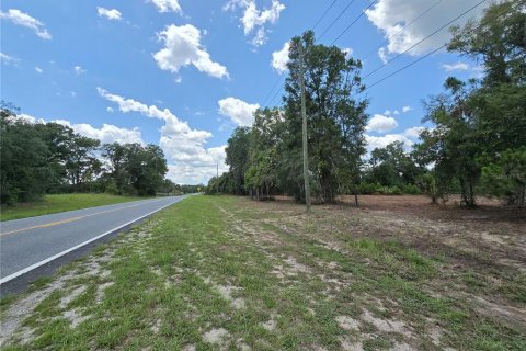 Terrain à vendre à Hernando, Floride № 1826921 - photo 4
