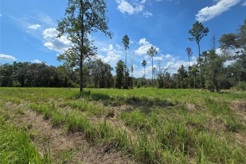 Terrain à vendre à Hernando, Floride № 1826921 - photo 29