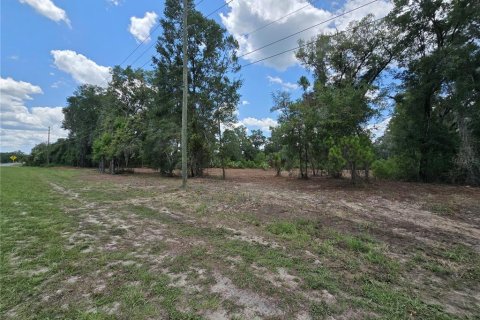 Terrain à vendre à Hernando, Floride № 1826921 - photo 5