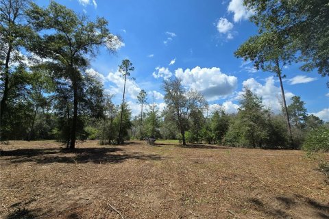 Terrain à vendre à Hernando, Floride № 1826921 - photo 6
