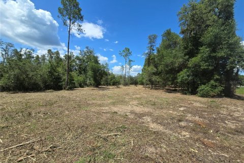 Terrain à vendre à Hernando, Floride № 1826921 - photo 12
