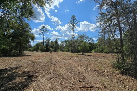 Terrain à vendre à Hernando, Floride № 1826921 - photo 8