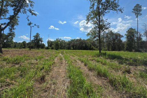 Terrain à vendre à Hernando, Floride № 1826921 - photo 30