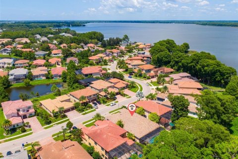 Купить виллу или дом в Палм-Харбор, Флорида 12 комнат, 287.44м2, № 2308620 - фото 3