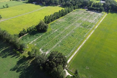 Villa ou maison à vendre à High Springs, Floride: 5 chambres, 210.89 m2 № 2211322 - photo 30