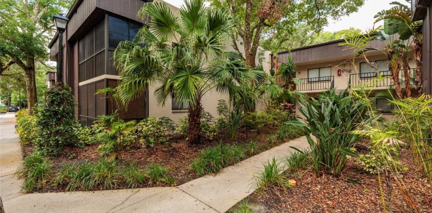 Condo à Temple Terrace, Floride, 1 chambre  № 2094469