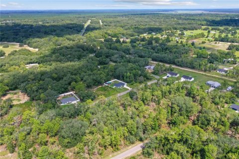 Land in Ocklawaha, Florida № 2159598 - photo 17