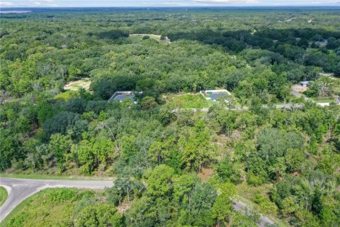 Land in Ocklawaha, Florida № 2159598 - photo 10