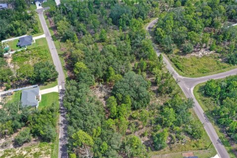 Land in Ocklawaha, Florida № 2159598 - photo 7