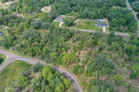 Land in Ocklawaha, Florida № 2159598 - photo 11