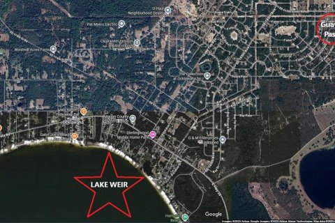 Land in Ocklawaha, Florida № 2159598 - photo 6