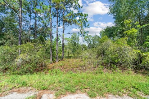 Land in Ocklawaha, Florida № 2159598 - photo 18