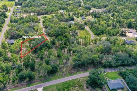 Land in Ocklawaha, Florida № 2159598 - photo 4