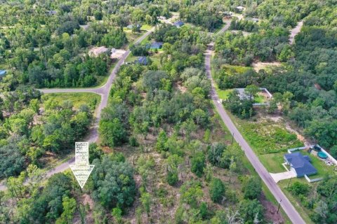 Land in Ocklawaha, Florida № 2159598 - photo 15