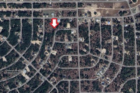 Land in Ocklawaha, Florida № 2159598 - photo 24