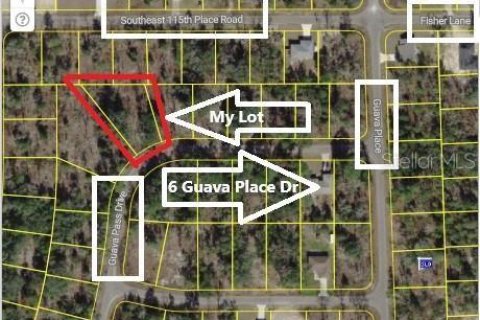 Land in Ocklawaha, Florida № 2159598
